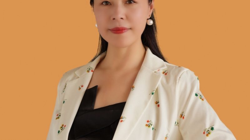 成都新品牌设计：揭秘高效设计步骤